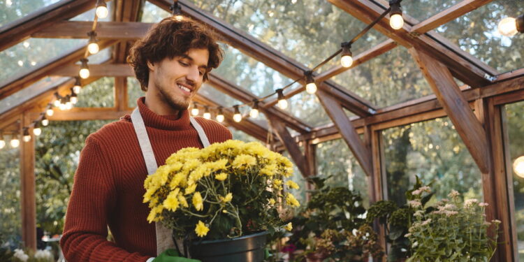 As 3 flores que anunciam a chegada da primavera