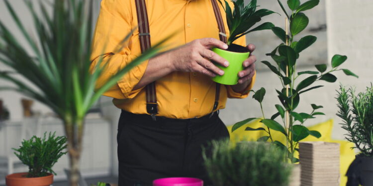 3 frutas que crescem rápido em vasos e dão colheita o ano todo