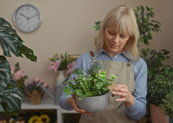 Plantas que fomentam autoconfiança e tranquilidade diária