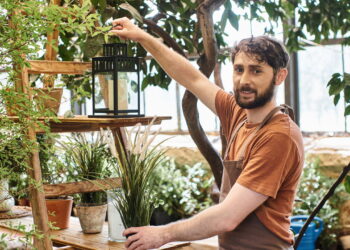 Plantas que dançam com as emoções trazendo leveza e alegria