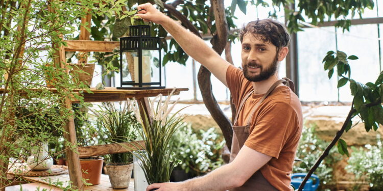 Plantas que dançam com as emoções trazendo leveza e alegria