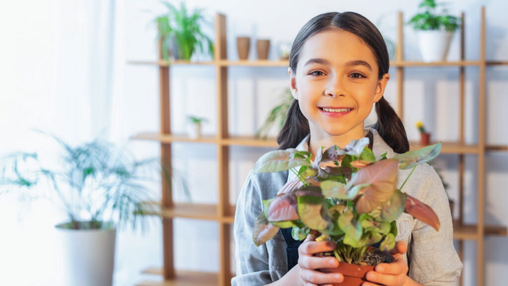Plantas que dançam com as emoções trazendo leveza e alegria