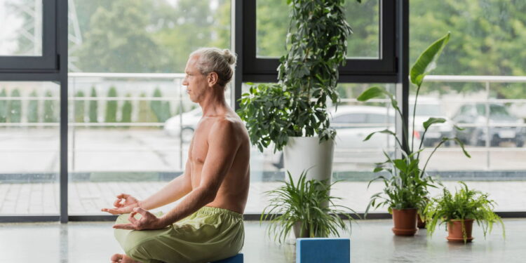 Plantas que criam um cantinho zen e ajudam a meditar com mais facilidade