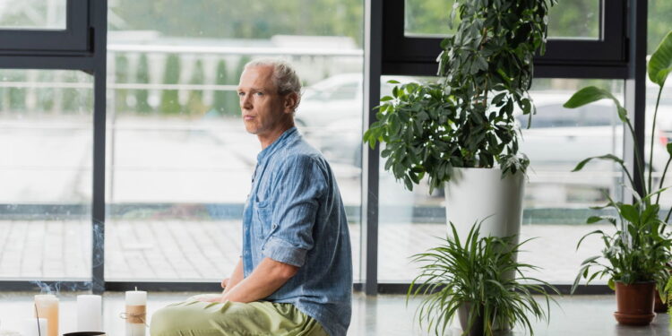 Plantas para criar um canto de meditação cheio de calma