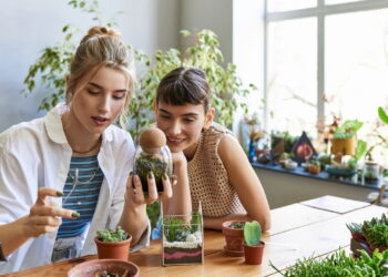 Plantas para promover harmonia e melhorar o trabalho em equipe