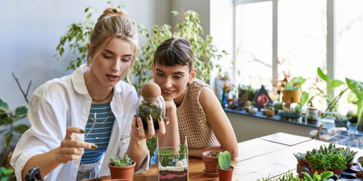 Plantas para promover harmonia e melhorar o trabalho em equipe