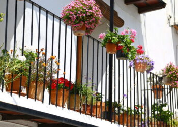 Plantas que trazem sensação de bem-estar para varandas pequenas