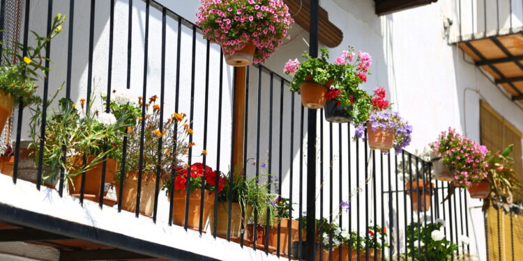 Plantas que trazem sensação de bem-estar para varandas pequenas