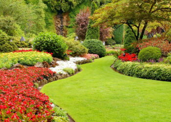 Plantas que florescem na primavera e trazem cor aos dias ensolarados