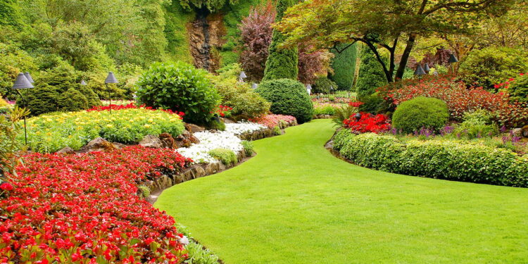 Plantas que florescem na primavera e trazem cor aos dias ensolarados