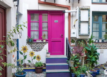 Plantas ideais para entradas acolhedoras que trazem conforto aos visitantes