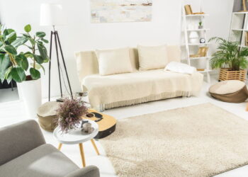 Plantas que absorvem ruídos e criam cantos tranquilos no lar