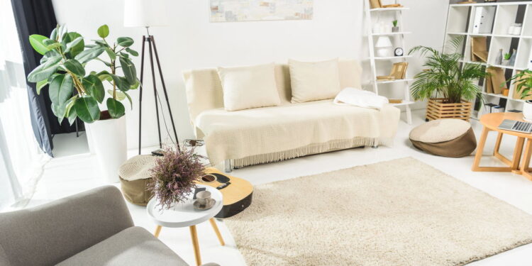 Plantas que absorvem ruídos e criam cantos tranquilos no lar