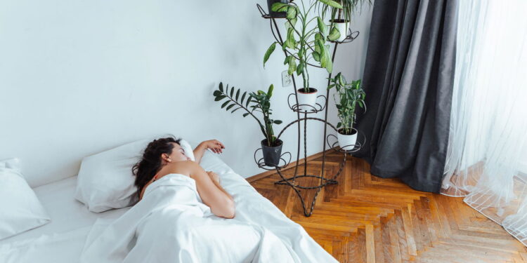 As 4 plantas que melhoram a qualidade do sono e purificam o ar noturno