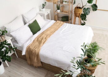 3 plantas com texturas macias que inspiram toques de suavidade e intimidade