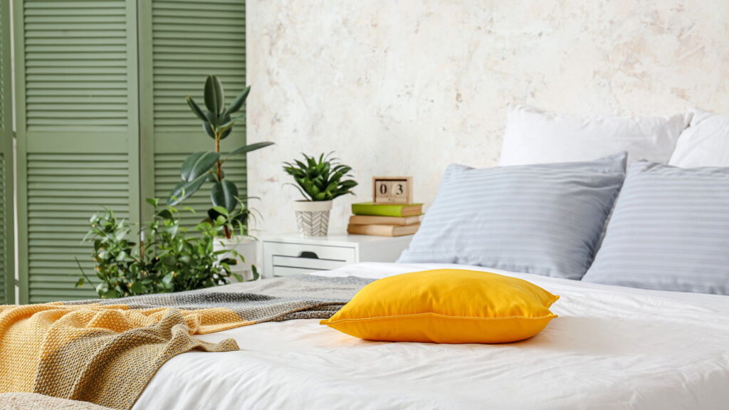 Plantas que prosperam em dormitórios e promovem rotinas matinais