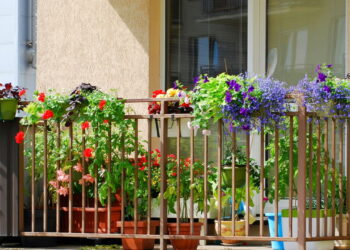 3 plantas que transformam varandas em espaços relaxantes e lindos