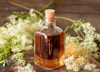 Poções de raízes que fortalecem a intuição e o foco feminino