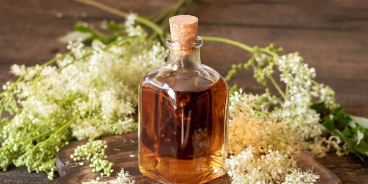 Poções de raízes que fortalecem a intuição e o foco feminino