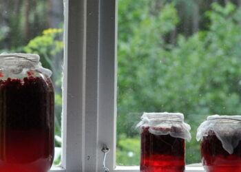 Poções de flores que ajudam na clareza mental pós-refeições