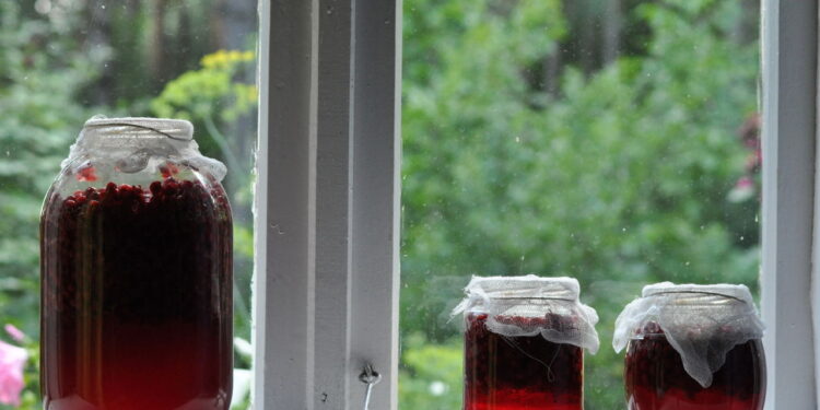 Poções de flores que ajudam na clareza mental pós-refeições