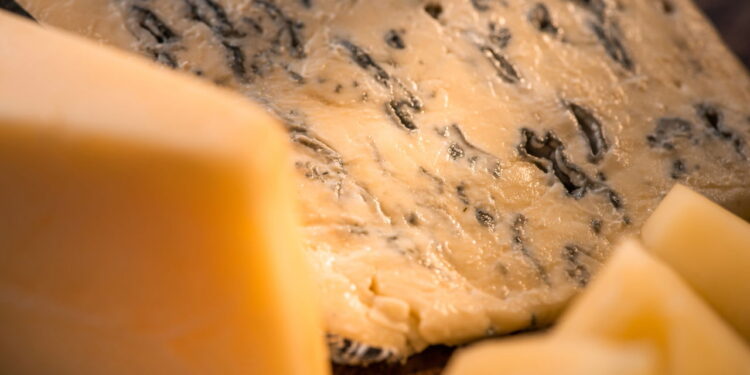 Nem papel alumínio nem plástico filme: a forma certa de guardar queijo e mantê-lo fresco