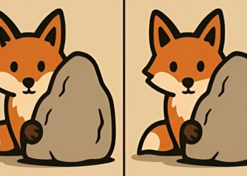 Só 4 em cada 20 conseguem achar os erros na imagem da raposa