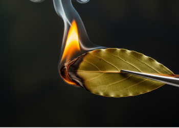 Queimar louro em setembro pode atrair abundância segundo tradição oriental