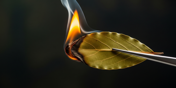 Queimar louro em setembro pode atrair abundância segundo tradição oriental