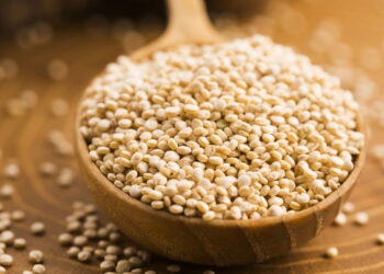 Alimente seu corpo e mente com receitas práticas e cheias de leveza