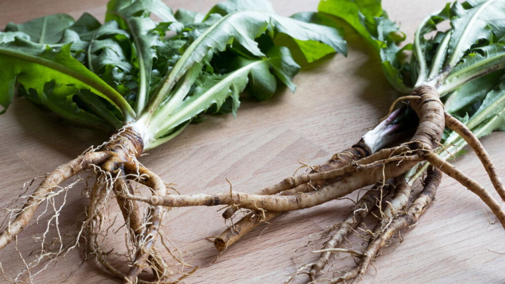 3 plantas que apoiam a saúde linfática com drenagem suave