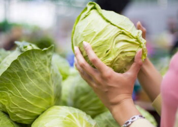 Dicas para conservar repolho fresco e pronto para suas receitas