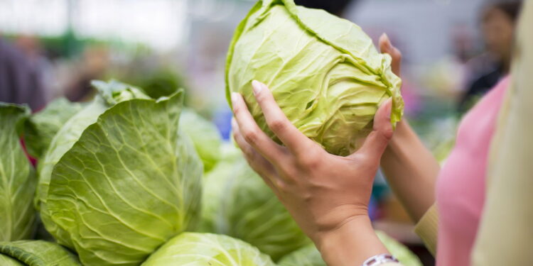 Dicas para conservar repolho fresco e pronto para suas receitas