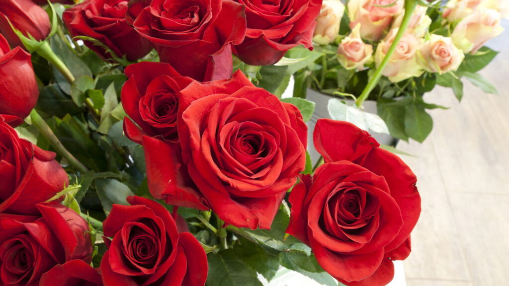 Plantas que você deve evitar podar na primavera