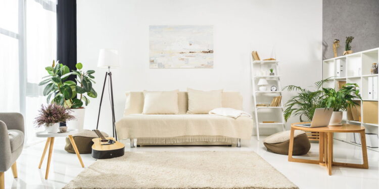 3 plantas que transformam sua sala de forma natural