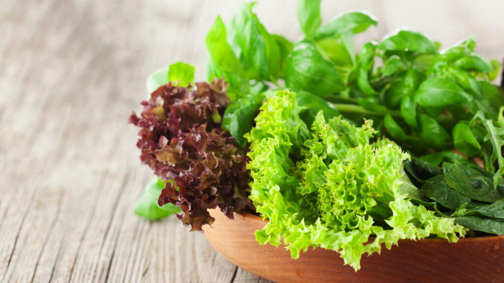 Receitas refrescantes com folhas que combatem o estresse