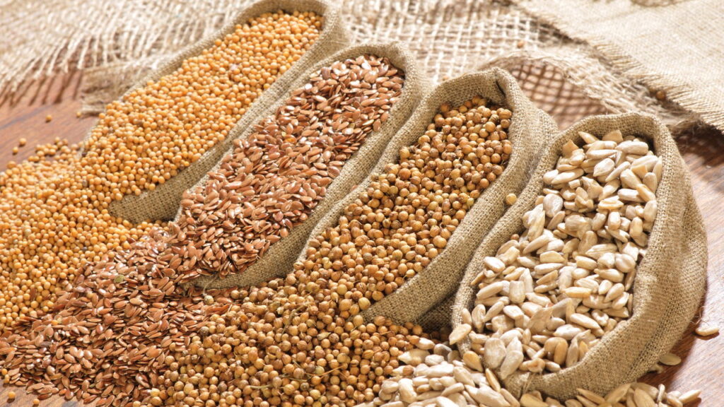 Receitas de sementes que promovem fertilidade e vitalidade suave