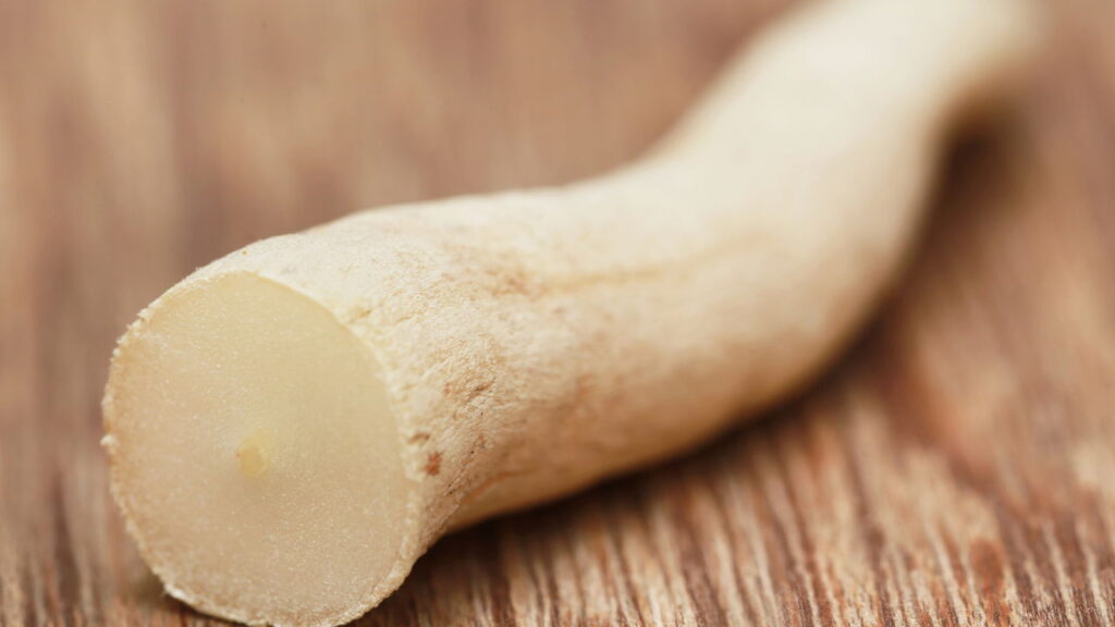 3 plantas que apoiam a menopausa com graça e vitalidade renovada