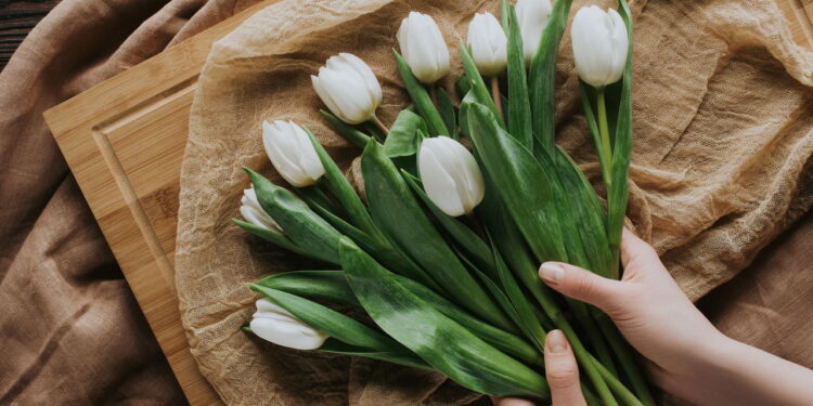 Como escolher a flor certa para o aniversário de cada signo