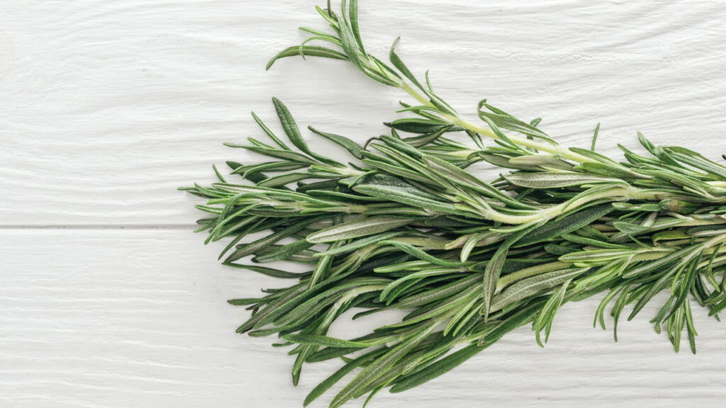 O segredo natural para proteger e recuperar o pâncreas em casa