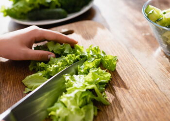 A forma certa de conservar alface fresca por vários dias