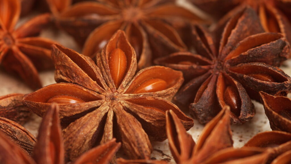 A erva sagrada que fortalece ossos e alivia dores nas articulações