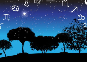 Plantas que combinam com seu signo e mudam o seu ambiente