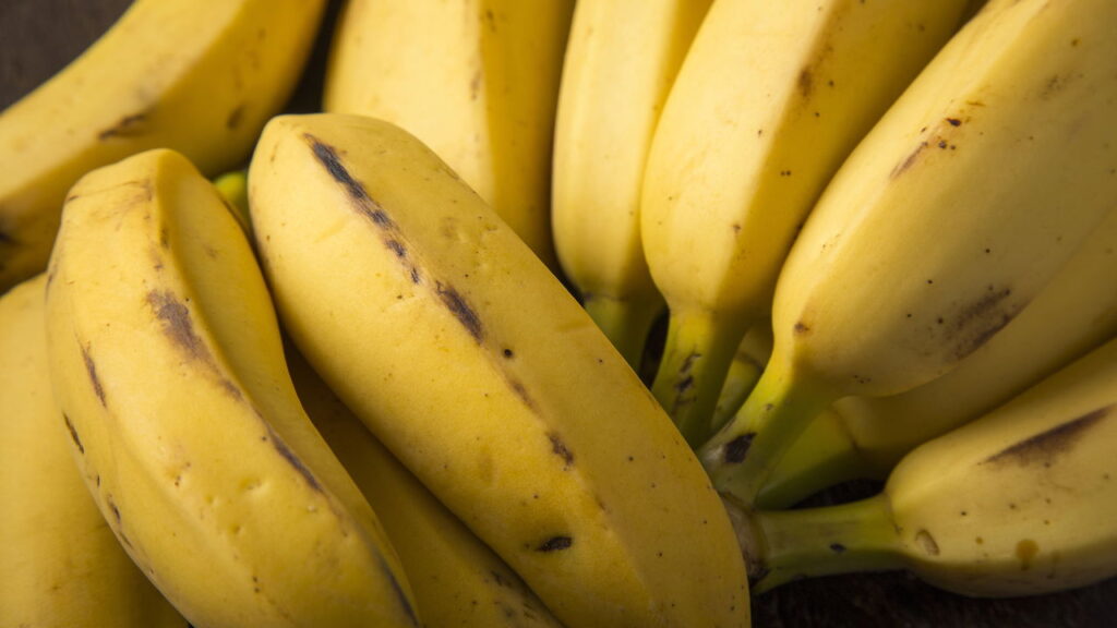 Fonte natural de energia para o dia a dia com alta absorção