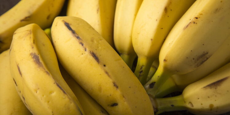 Fonte natural de energia para o dia a dia com alta absorção