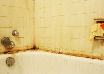 Como manter o banheiro livre de insetos que aparecem no escuro