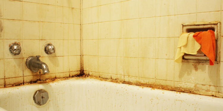 Como manter o banheiro livre de insetos que aparecem no escuro