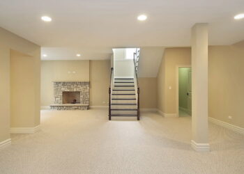 As 3 plantas que revitalizam porões com atmosfera acolhedora e purificação natural