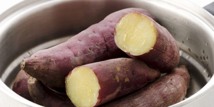 Técnicas para manter batatas doces firmes e sem brotos por semanas