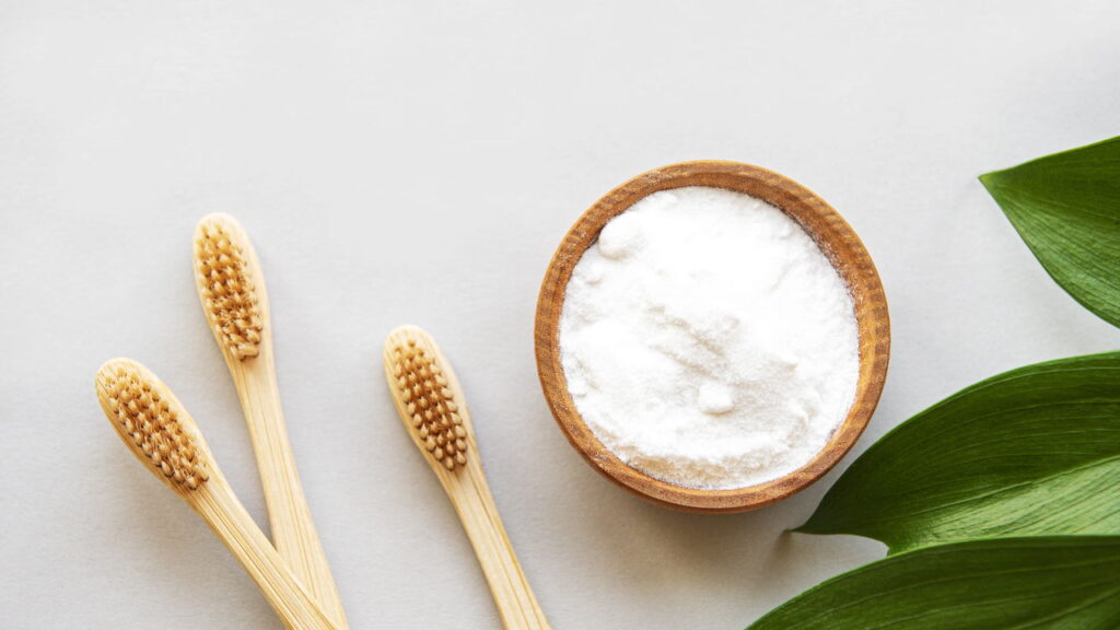 Formigas no painel da geladeira? Veja como acabar com elas